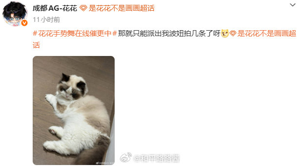 偷你的周冠头盔了啊~怎么能这样水呢？我问波妞啦！它不愿意AG三连周冠 AG花花三