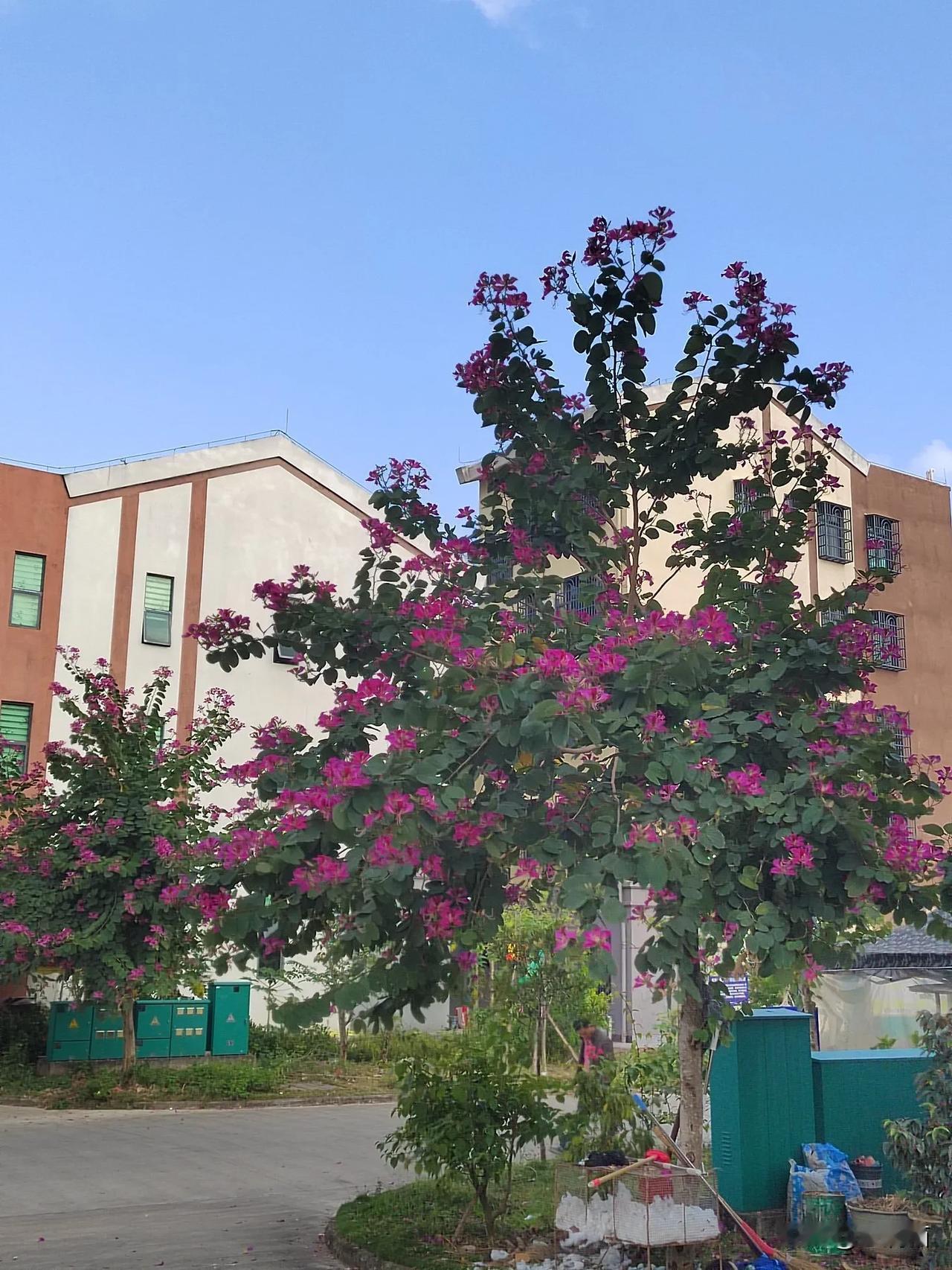 患上肾炎后，吃什么都得格外留意，这也顾忌那也小心。没查出肾炎前，大碗喝酒、大块吃