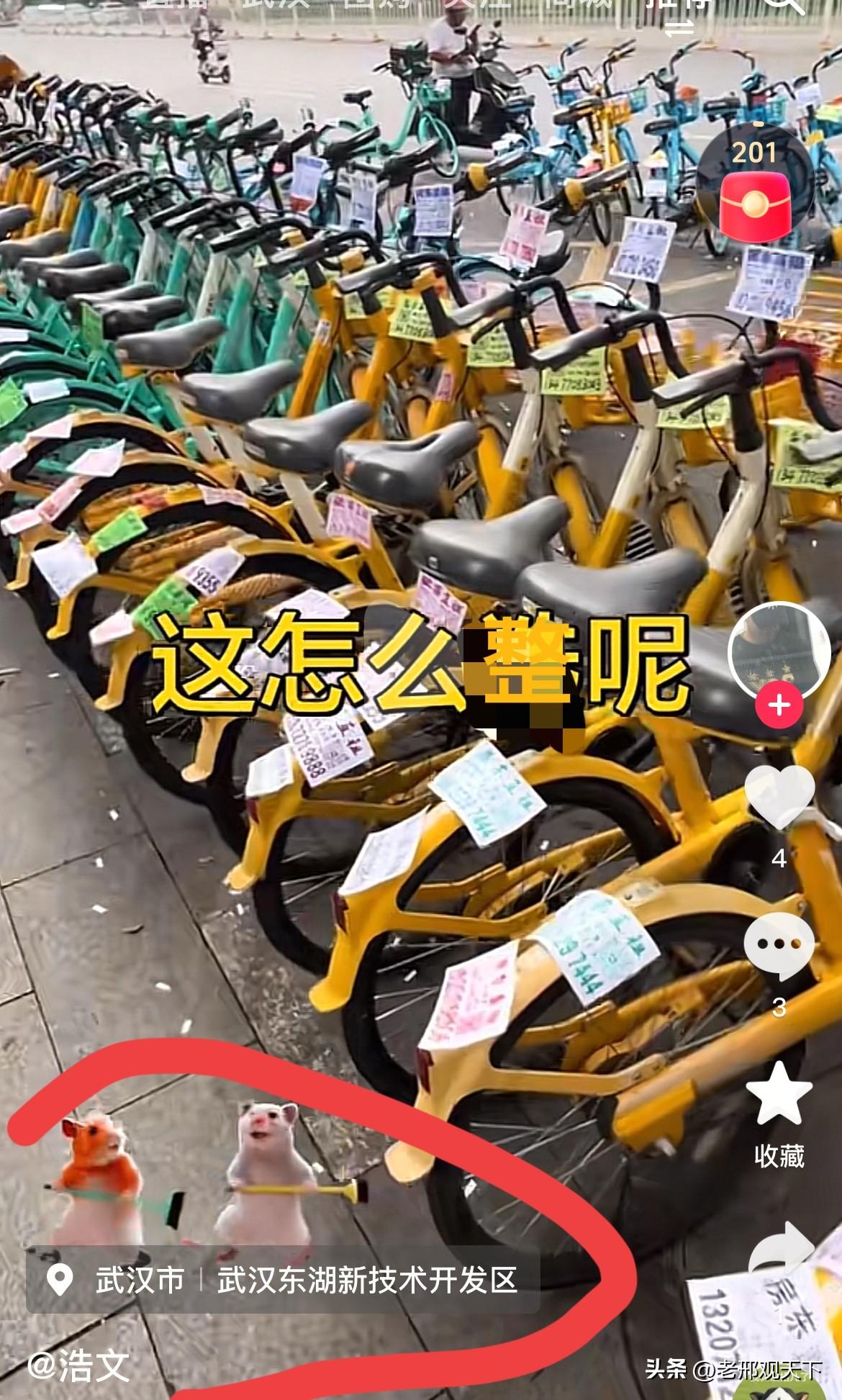 这也太猖獗了吧？

网友发图显示：

一片“鲜花”开满共享单车！（如图）

仔细