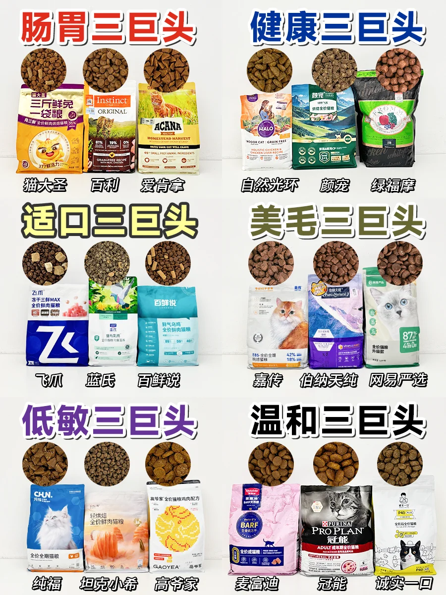 布偶猫粮跟我选❗根据猫咪需求选不踩坑