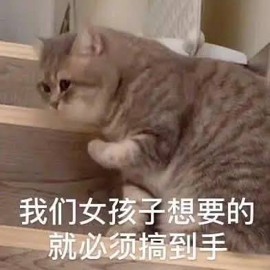 这几天這些人是组队来炸片我吗？男人除了会阻碍我追刘宇宁跟shopping,想不到