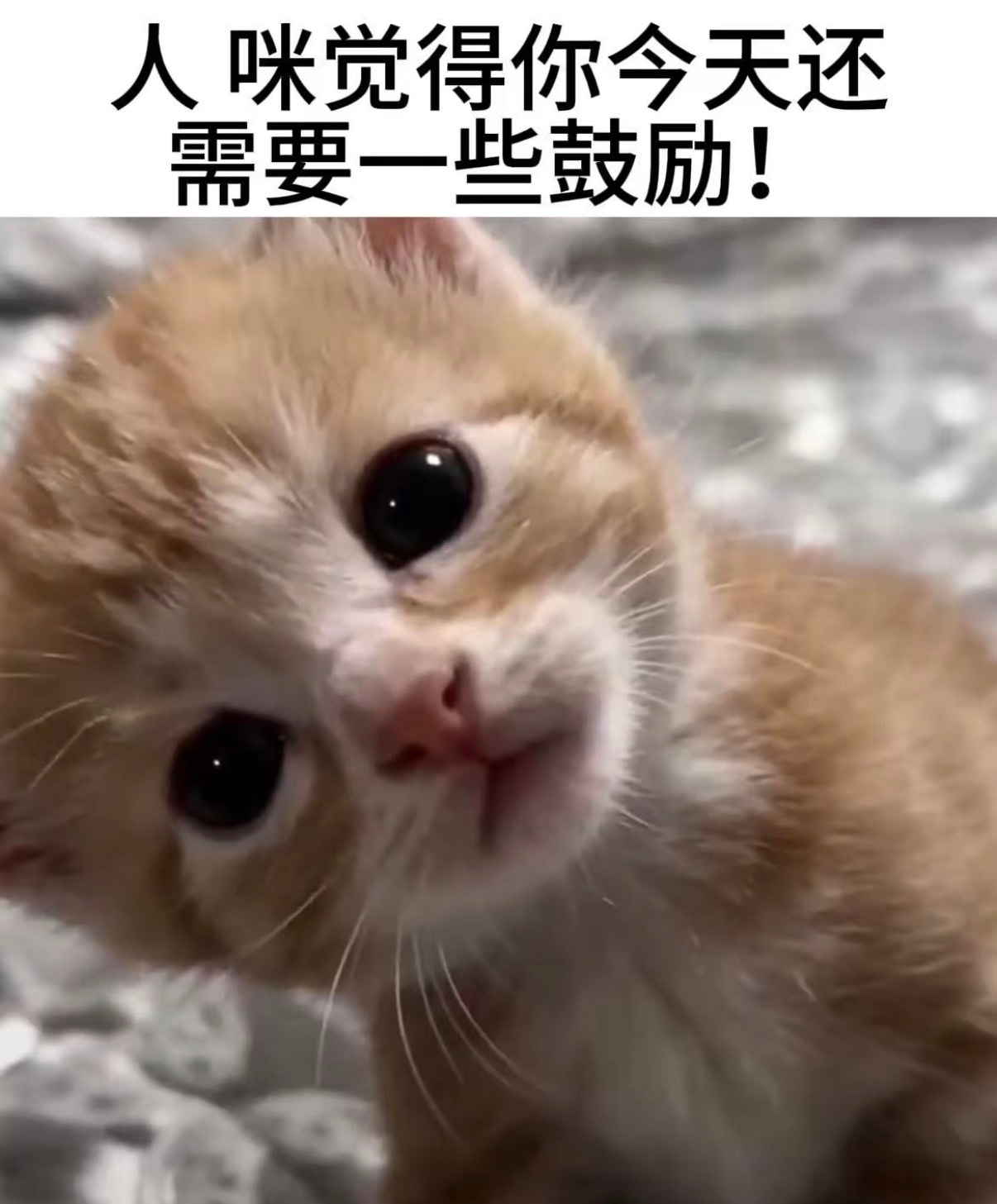我闪购真帅见鬼了 