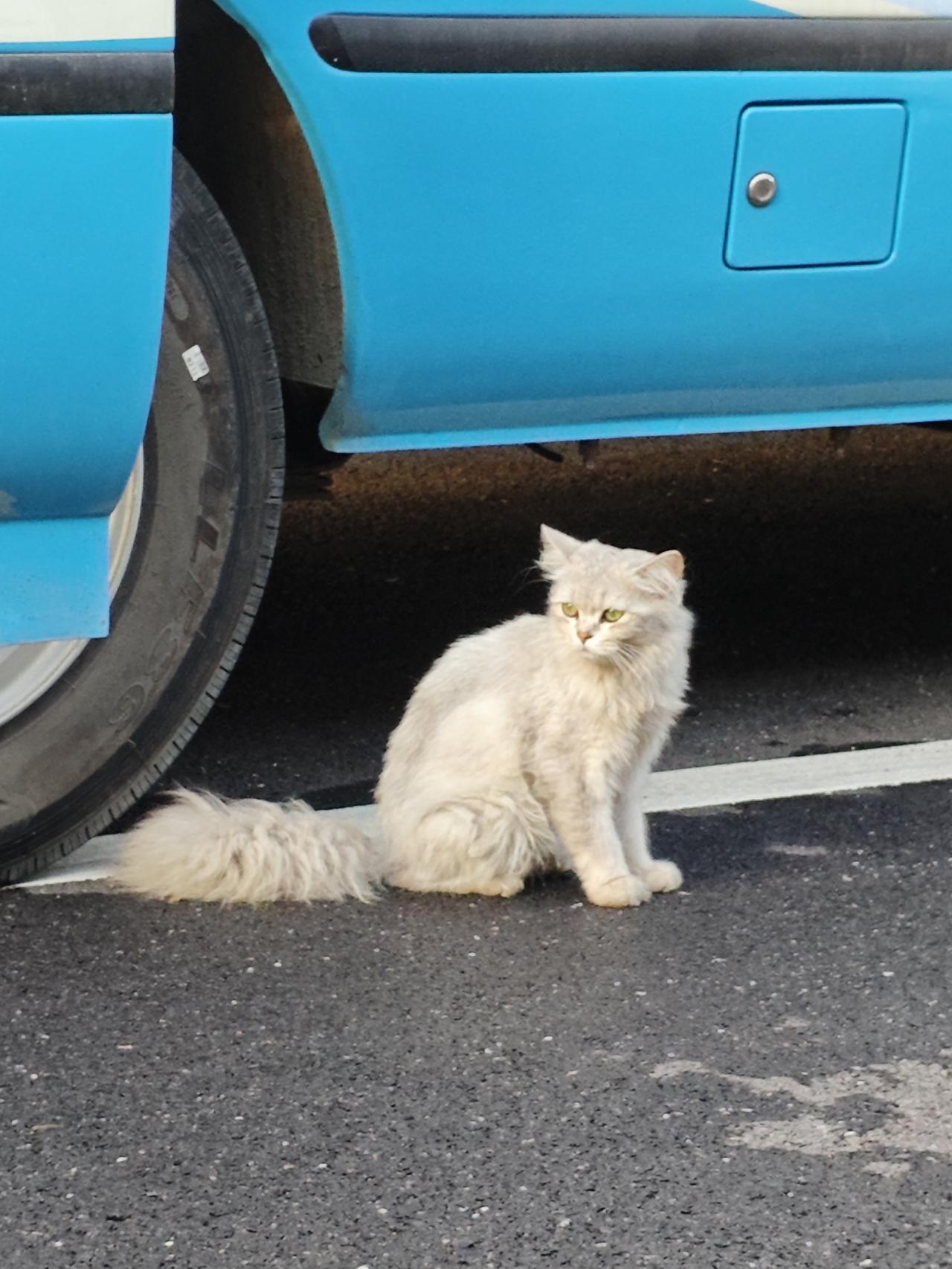 晒图笔记大赛在逃小公主！！🐱