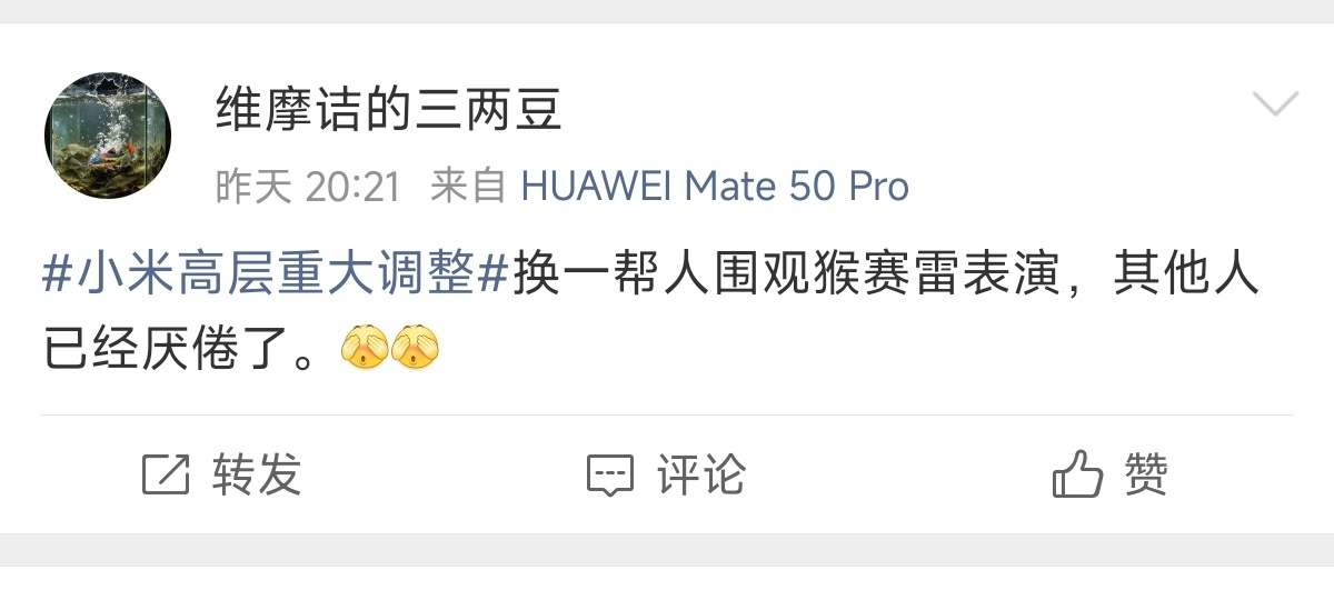 如此恶意评论，是不是要管一管了。小米高层重大调整