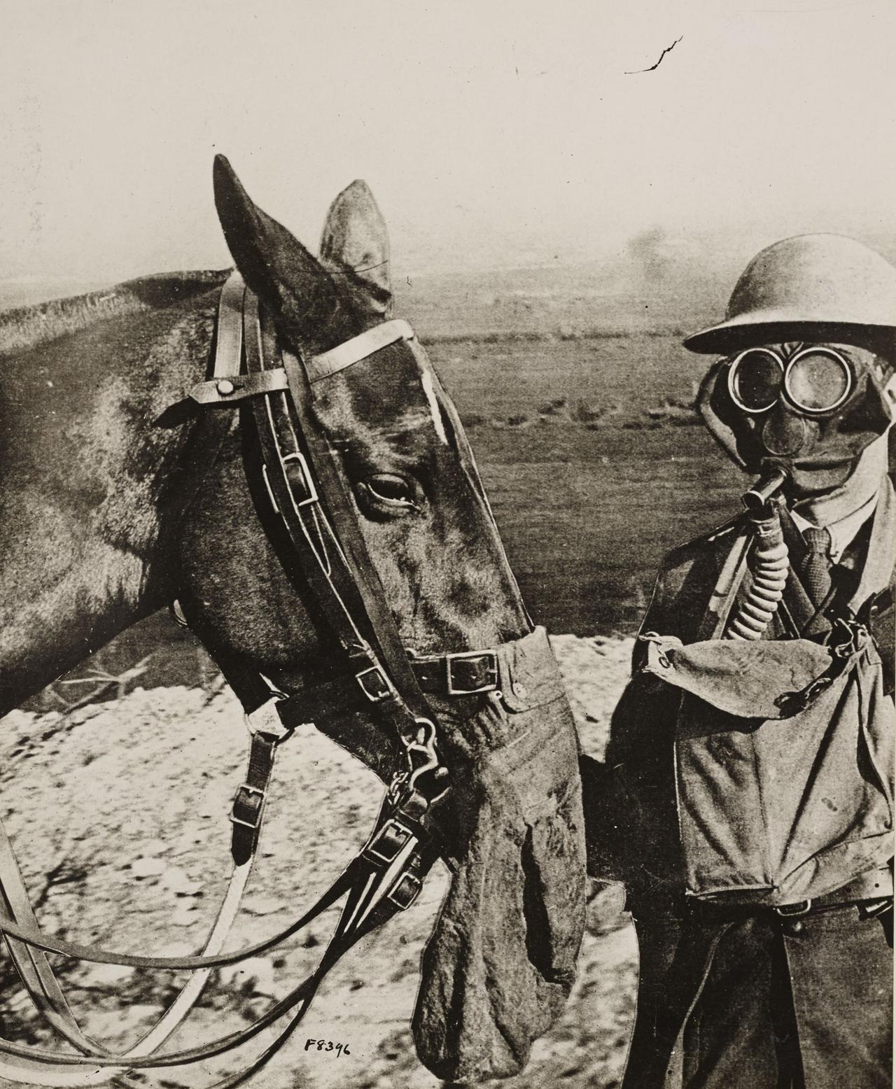轻兵器科普轻兵器爱好者军马专用防毒面具！这张照片拍摄于1918年6月10日的西线