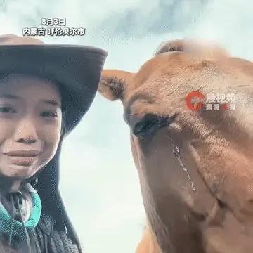 一名女子在呼伦贝尔旅居，与一只马儿建立了深厚的感情，临走前，女子十分不舍，特意赶