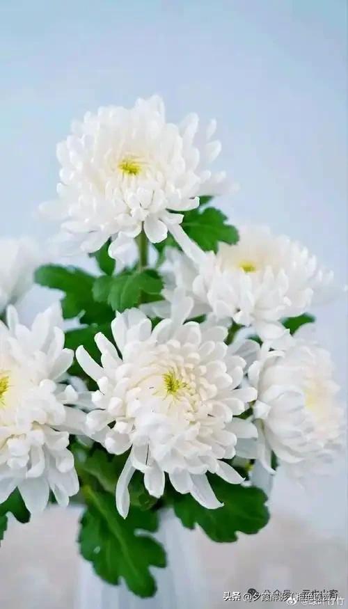 清明扫墓回家，这5件事千万别做
 
1. 进门先在门外站一站，拍拍身上灰尘再进屋