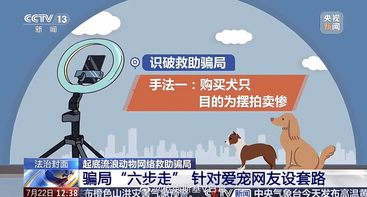 央视曝光救助流浪狗直播骗局太缺德了，利用人们的爱心来谋取不当利益，整的该好好管管
