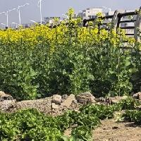 我的今日状态：😁轻松愉快
我这里的天气：🌤️多云