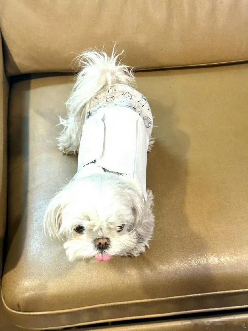 救命，看到宋威龙写《哪吒2》小作文，心疼申公豹和哪吒父母，这不就是我的心声嘛！ 