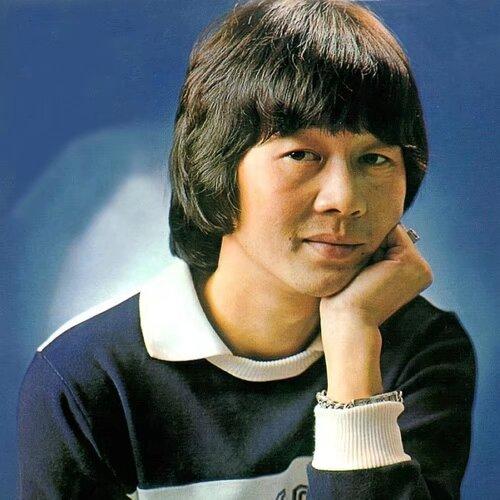 许冠英香港著名演员歌手1971年进入邵氏公司演员培训班学习。1972，年出演电影