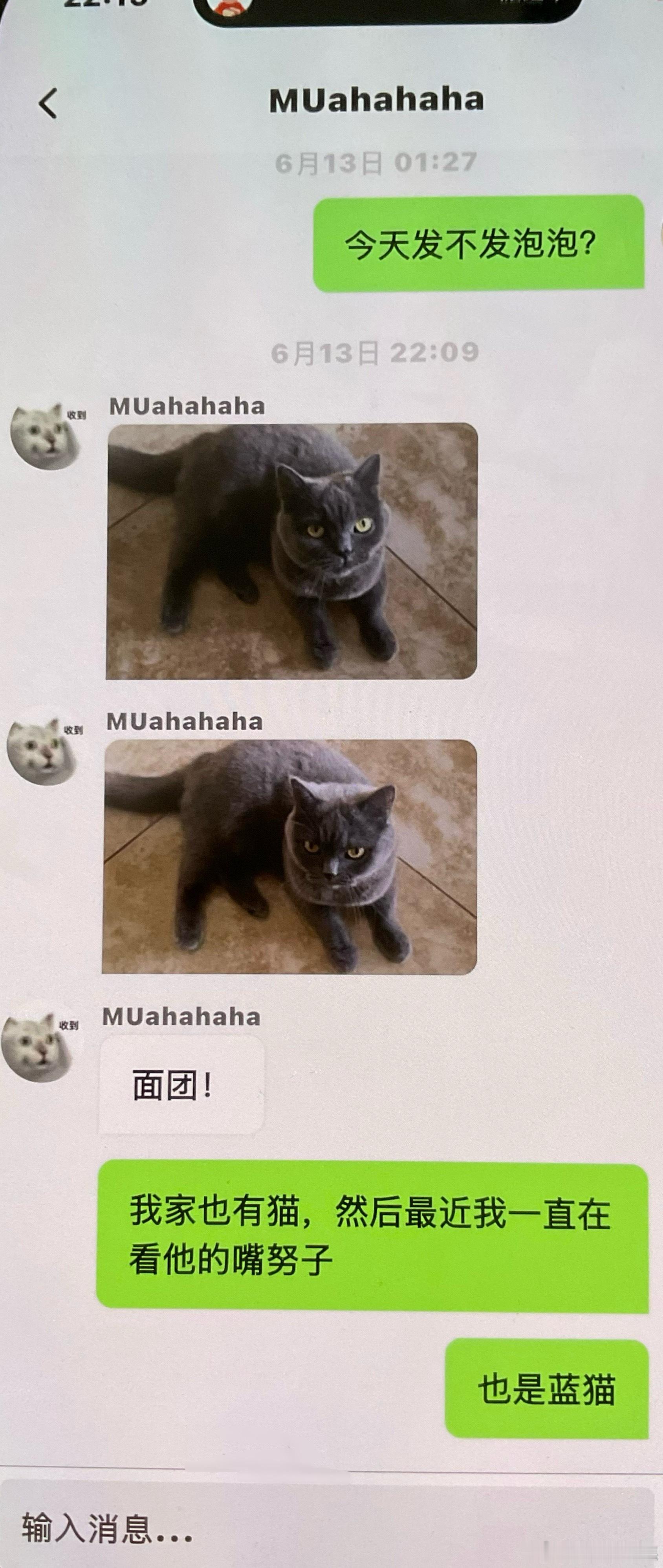 嘴努嘴努 