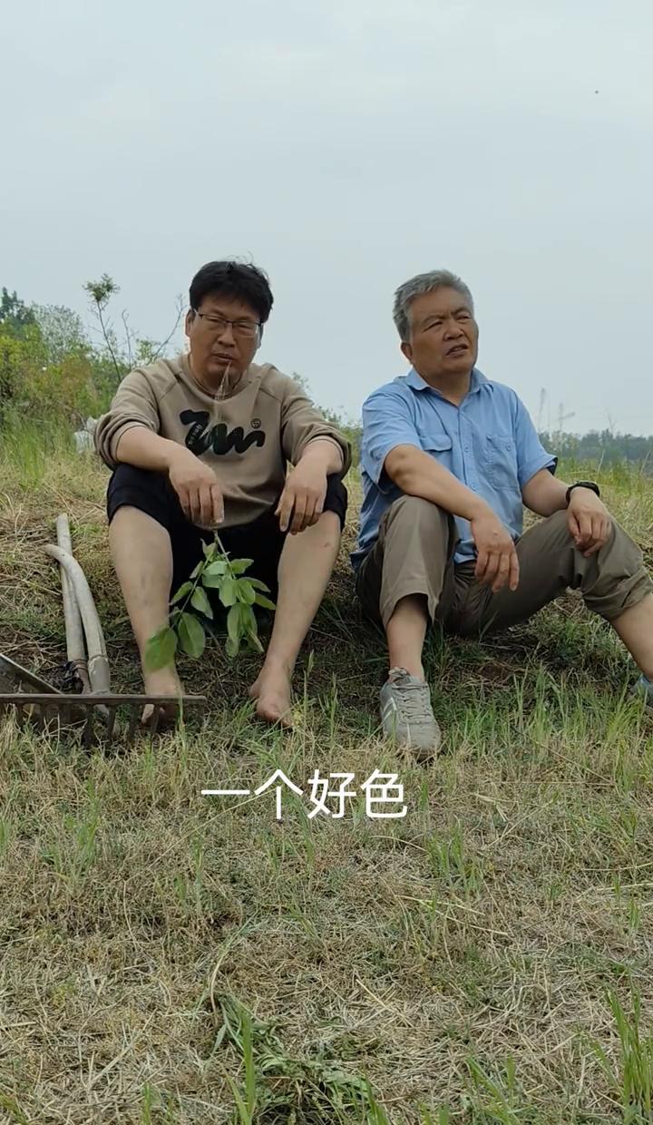 张纪中停更了，不是认错，是流量快烧光了。
90天发87条老婆孩子，团队说日更能涨