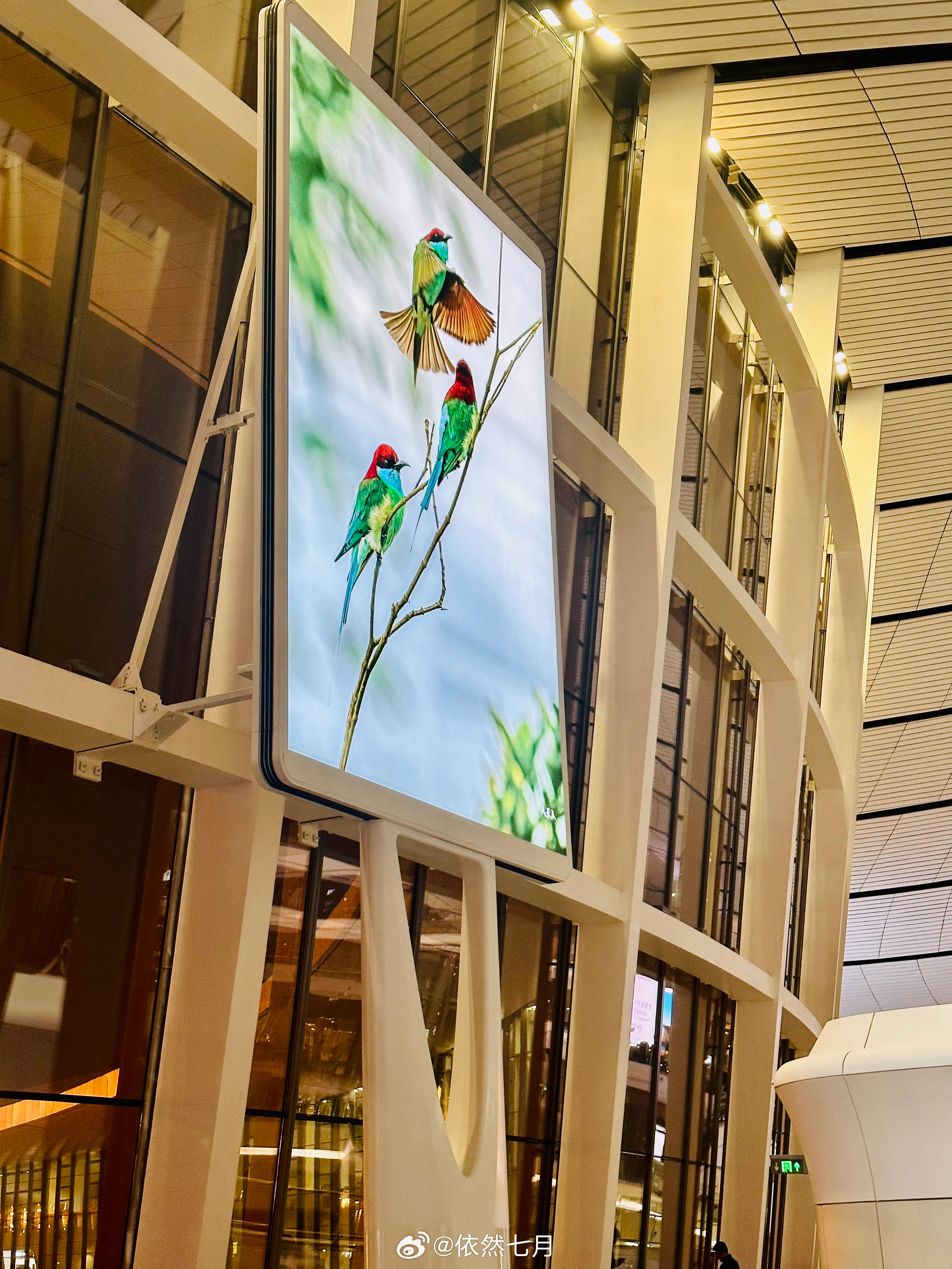 大兴机场南航柜台有两三百人在排队改签，其实手机客户端或者客服电话能帮你迅速处理。