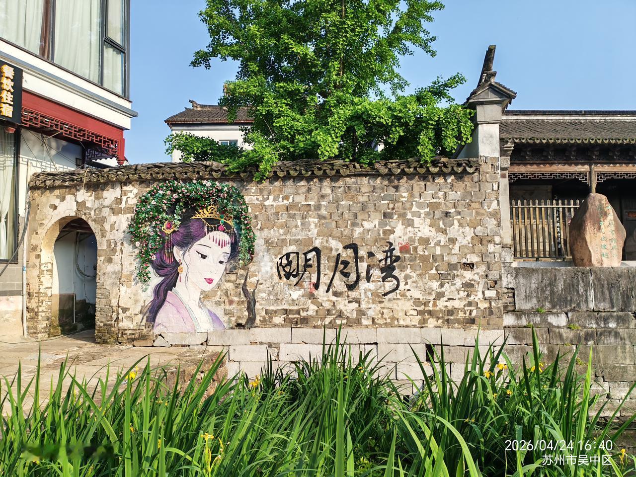 苏州旅游风景图片西山岛明月湾古村落，有唐代的古樟树，以及很多的明清古建筑，门票4