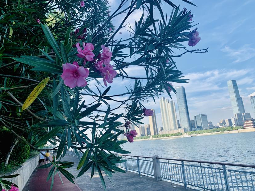 我的今日状态：😁轻松愉快
我这里的天气：☀️晴天
