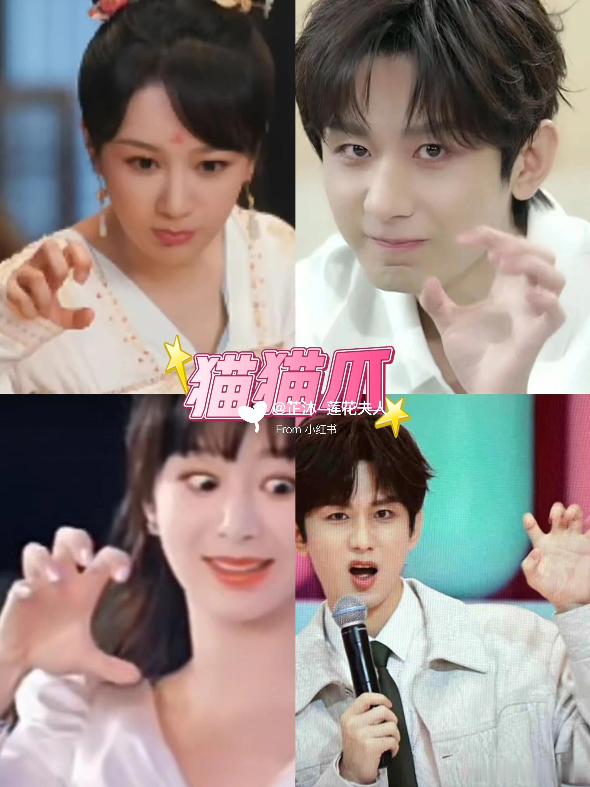 曝杨紫成毅合体湖南卫视跨年 淇淇奥奥都喜欢的猫猫爪🐱||淇淇家庭群以前喜欢发淇