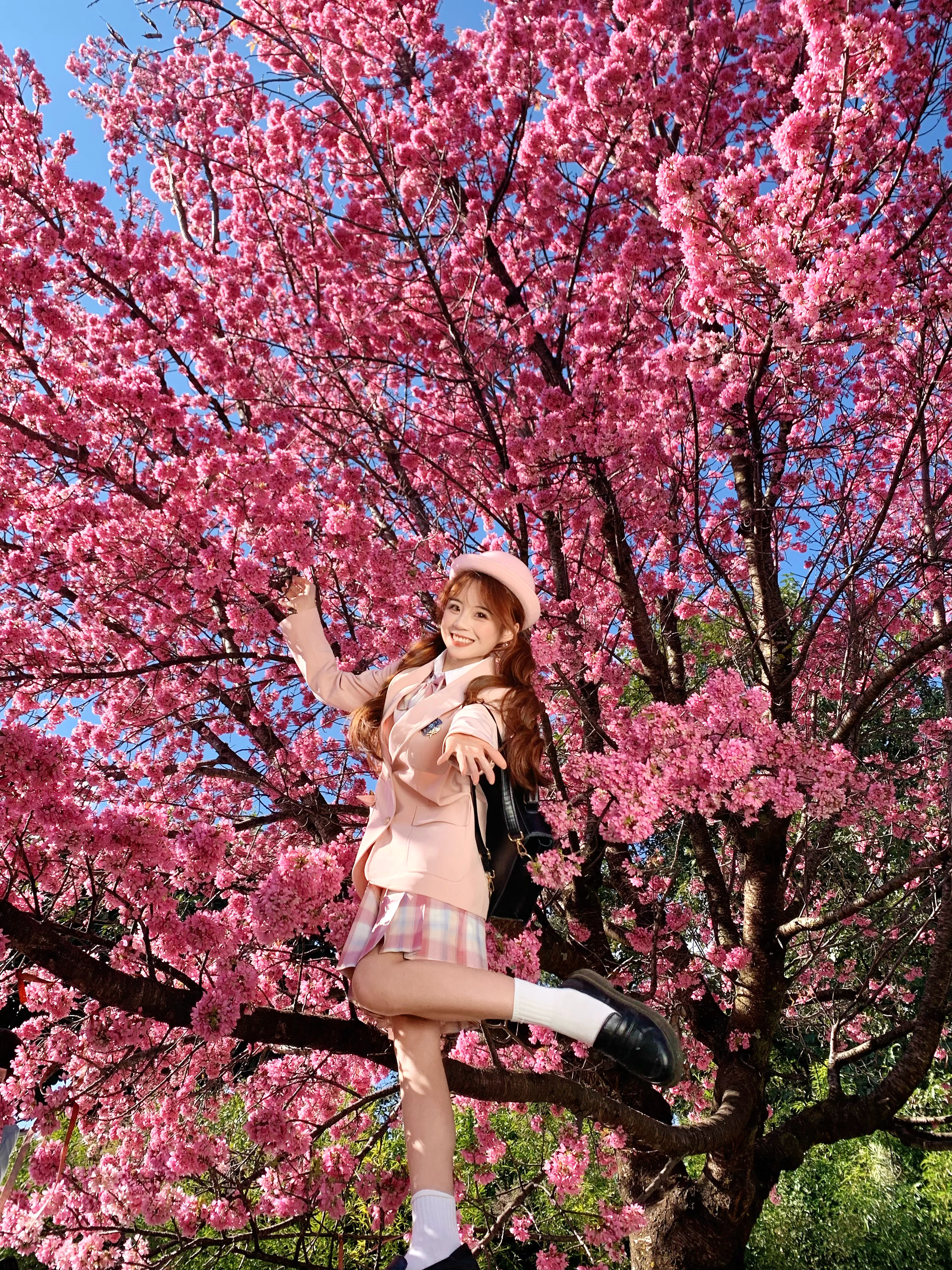 大理的樱花终于开噜🌸（怒修22张哈哈哈 大家觉得哪张封面比较好！） 