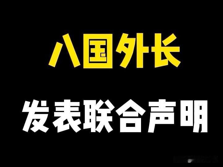 4+4外长会议联合召开新闻发布会发表联合声明，4个中东国家（土、埃、巴、沙），4