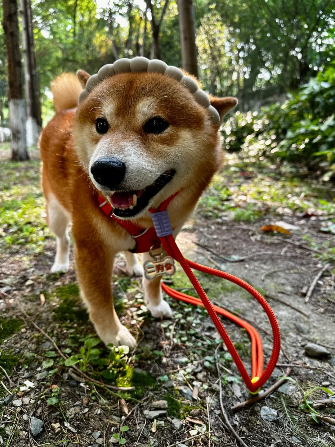 今天偷感有点重