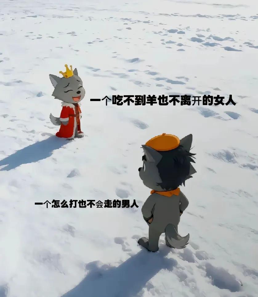 以前觉得好笑，现在却羡慕。

灰太狼的帽子缝缝补补，可他让红太

狼住上了城堡?