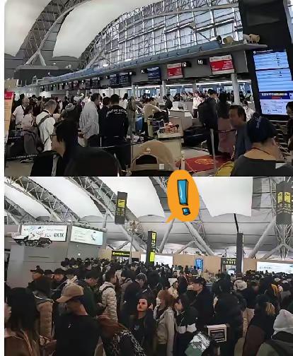 这下是真的傻掉了吧？
前脚说“要去日本散散心，自由又潇洒”，后脚一瞅航班，大门紧