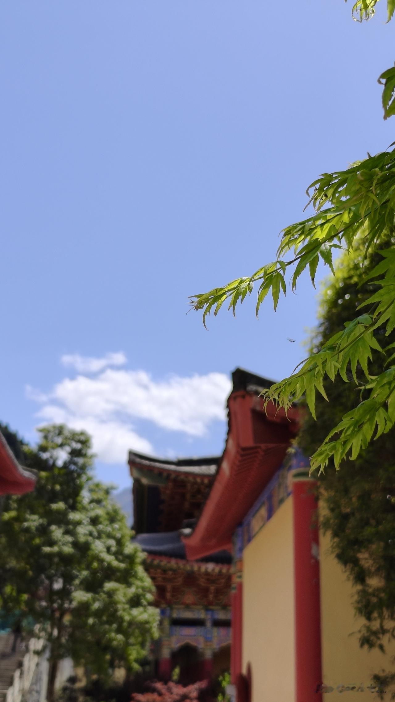 你对这个社会没有价值，你不能为他人提供服务，你赚不到钱，你就没办法活下去。
等你
