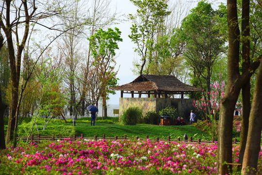 你那么努力温暖别人，谁来温暖你？

 “晨光像金色的薄纱，悄悄溜进房间。”此时我