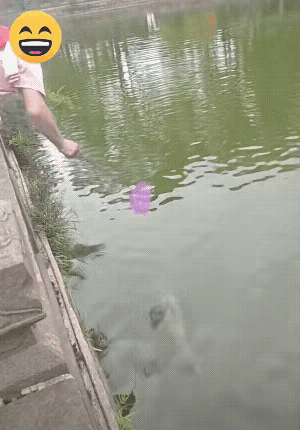 这个厉害，
这个真的不能喷。