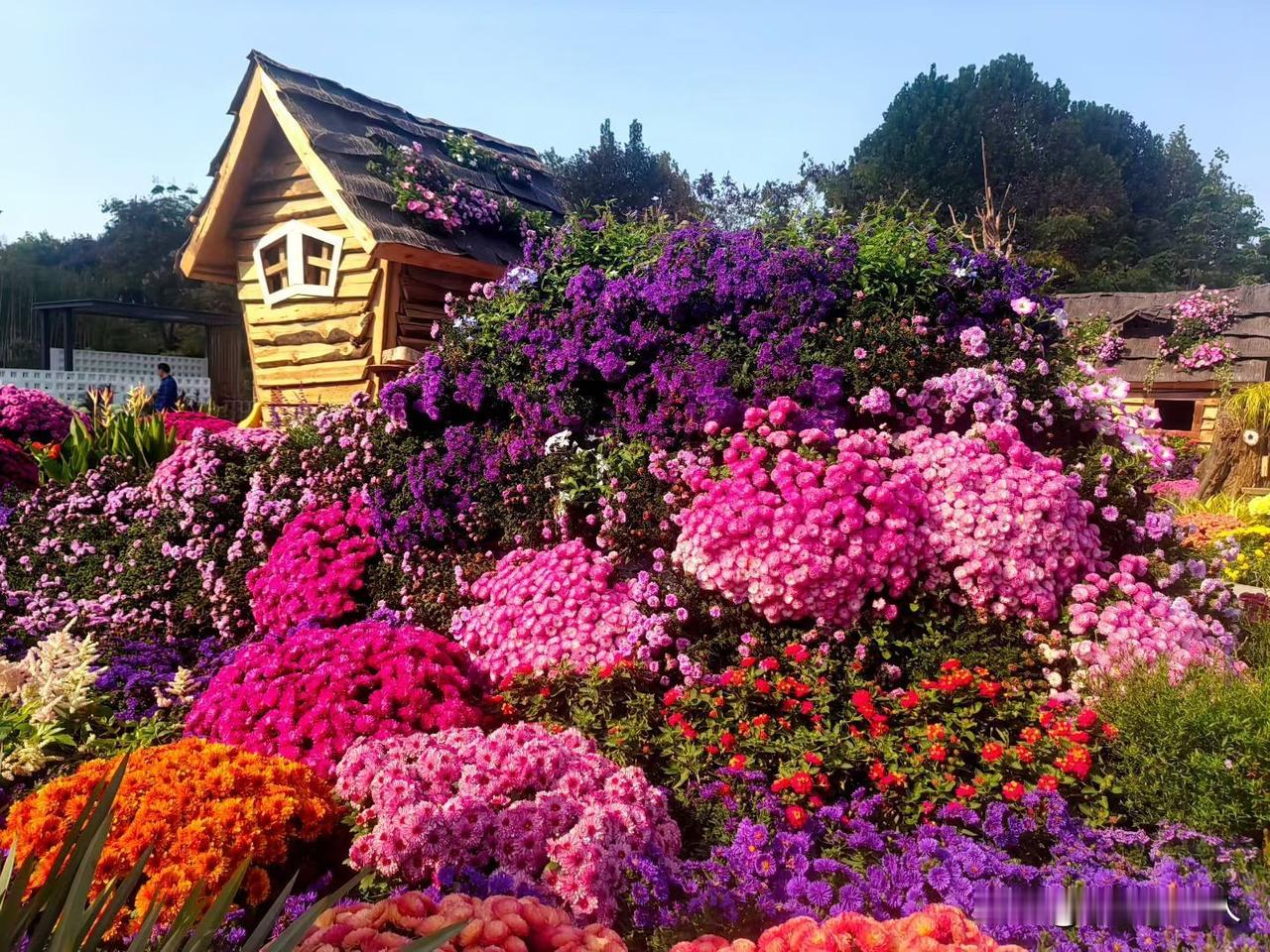 人到暮年才明白，财富、老伴和子女都靠不住，智慧老人靠“3不”

人老了，靠财富，