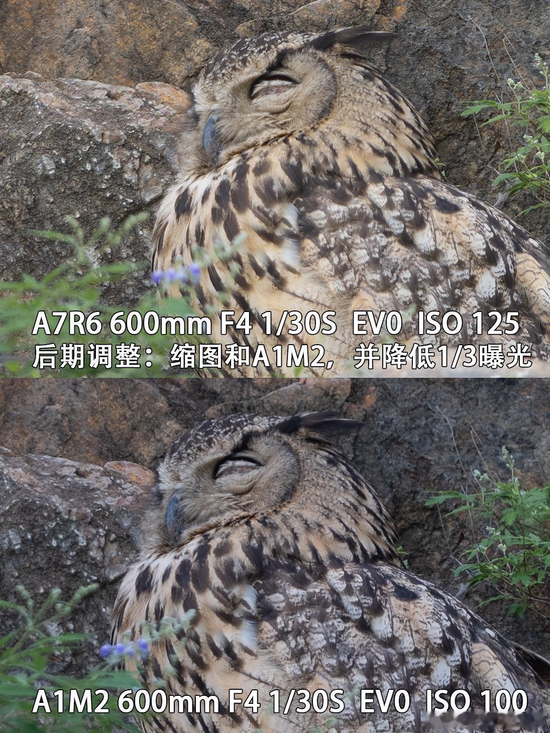 A1M2 对比A7R6两台相机我都设置为1/30S F4，曝光0，结果测光有差别