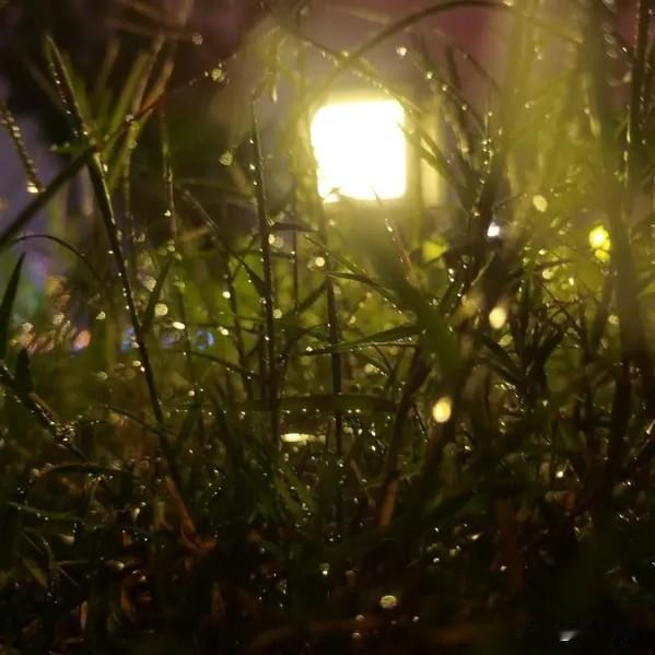 《夜窗听雨》
 
三更夜雨打窗棂，
一枕清寒梦未宁。
残叶随风飘浅院，
孤灯摇影