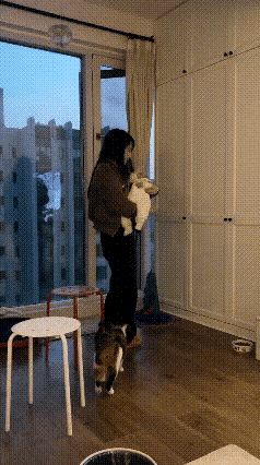 自从宝宝出生后，猫咪一直守着宝宝，除了自己家人外，不让任何人碰宝宝。闺蜜来串门，