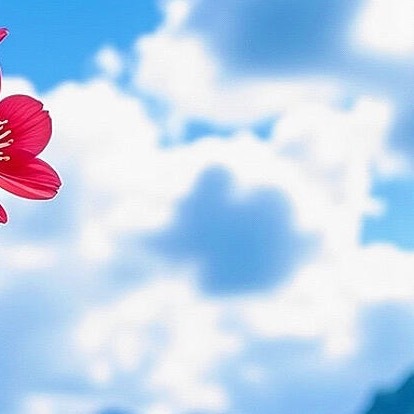 森林驿站  💫阳光信用  💫森林驿站 生命里最好的一种状态，是该看书时看书，