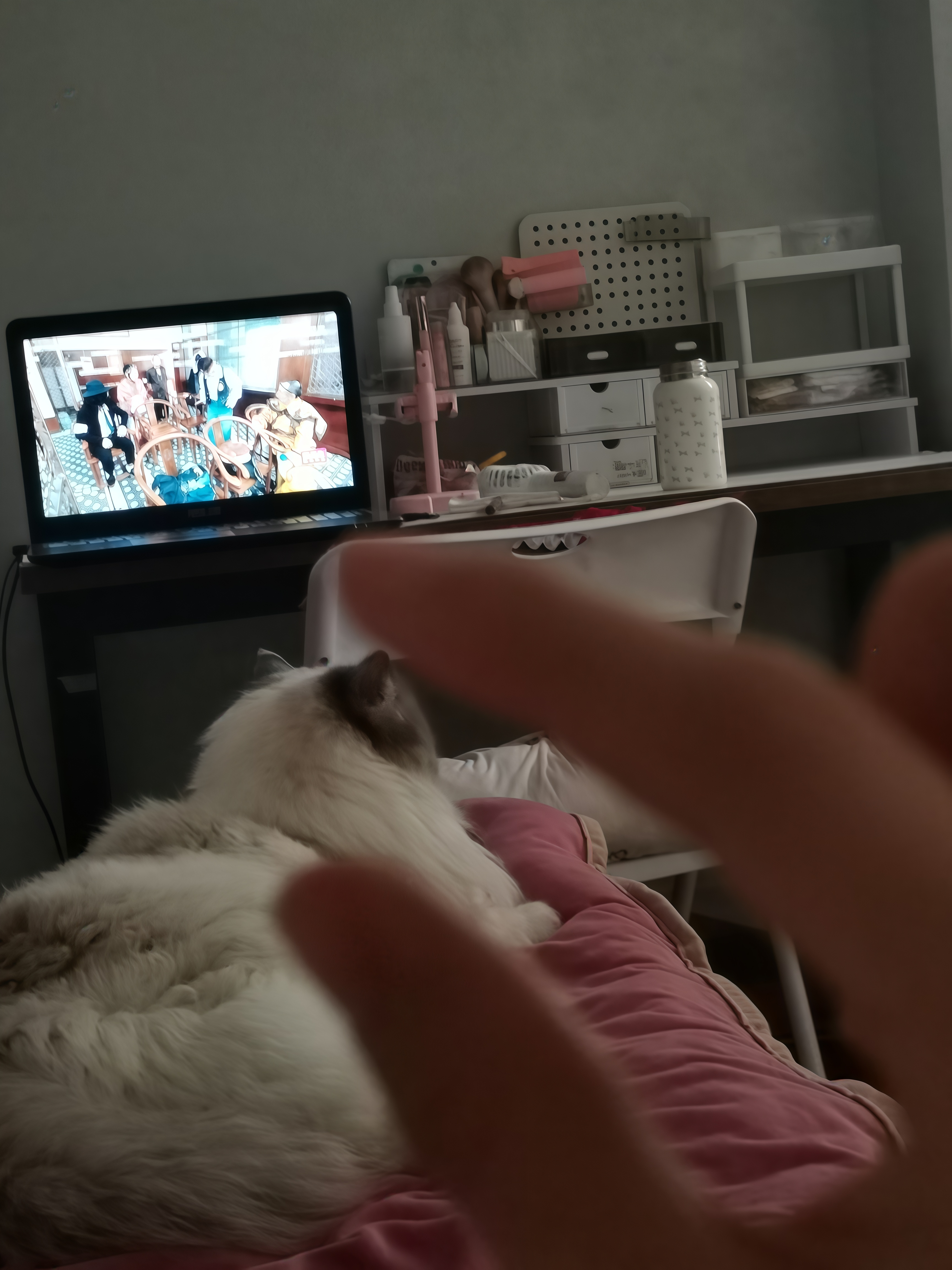 咪在干什么？！😼 