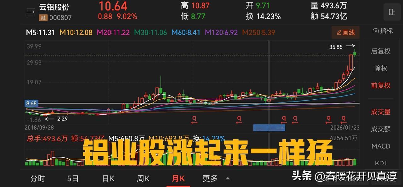 刚才复盘了一下有色品种，首先铝业股里面云铝股份还是强过中国铝业和南山铝业，当然南