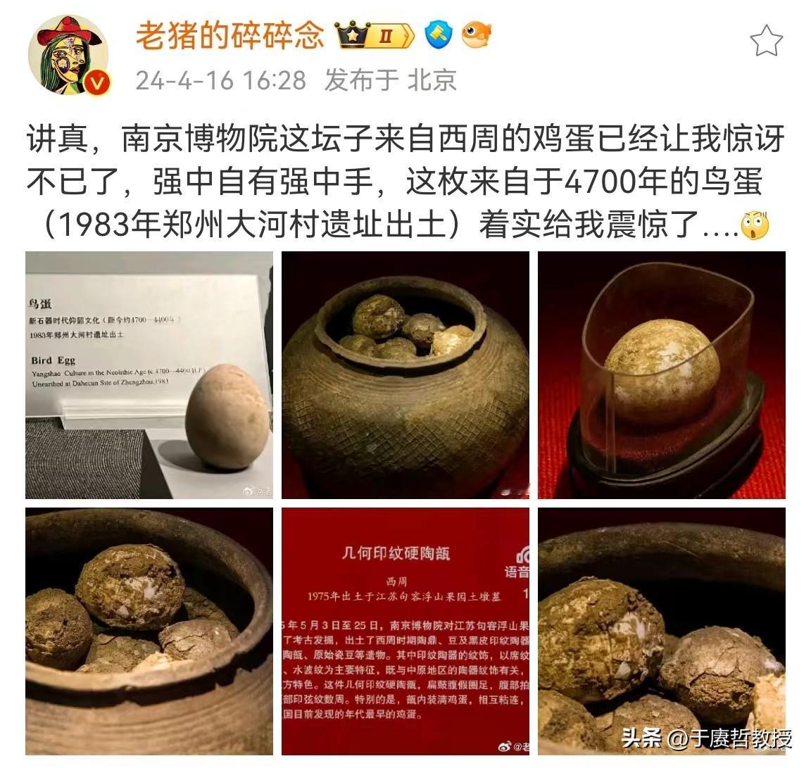 鸡：“我们被人类压榨数千年的历史，请看VCR。”