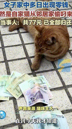 “万万没想到！”近日，四川发生了一件让人啼笑皆非的趣事，一女子拜完财神爷后没几天