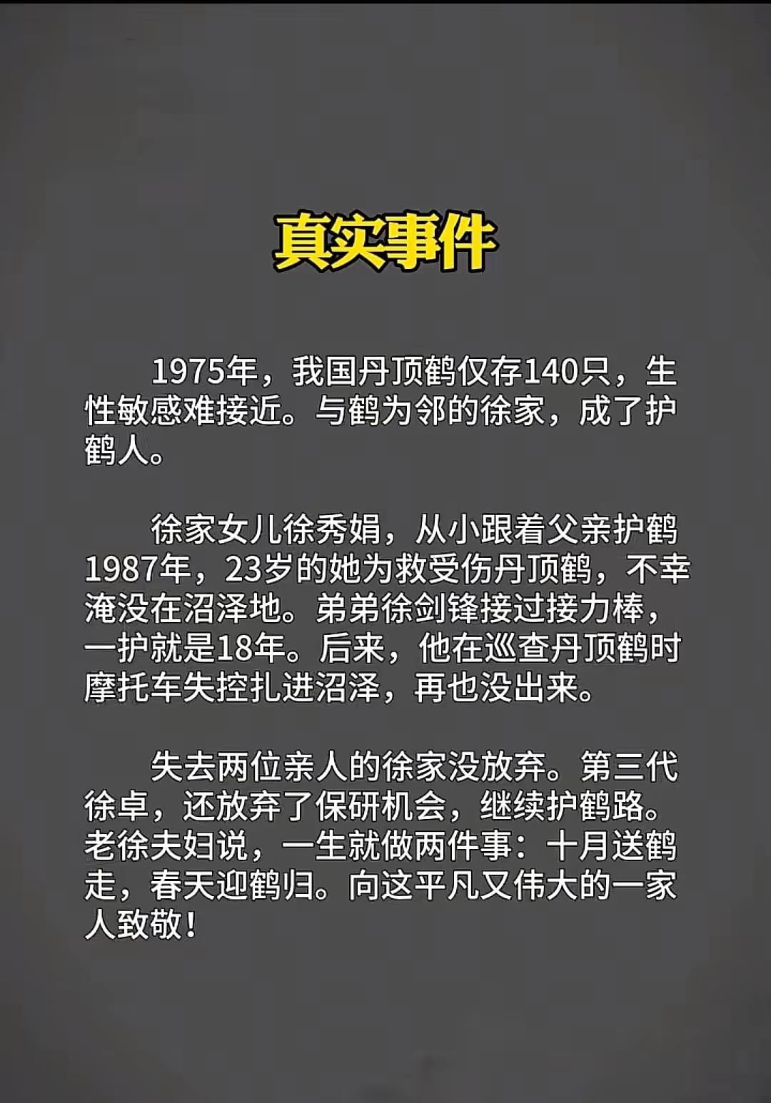 走过那片芦苇坡，你可曾听说，有一个女孩，她留下一首歌……你们还记得这个故事吗？