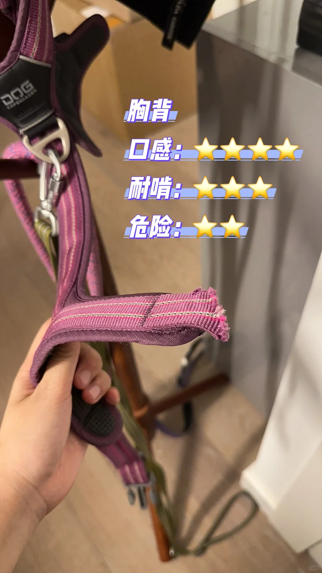 每位狗子都该看到！人类物品口感测评🌟