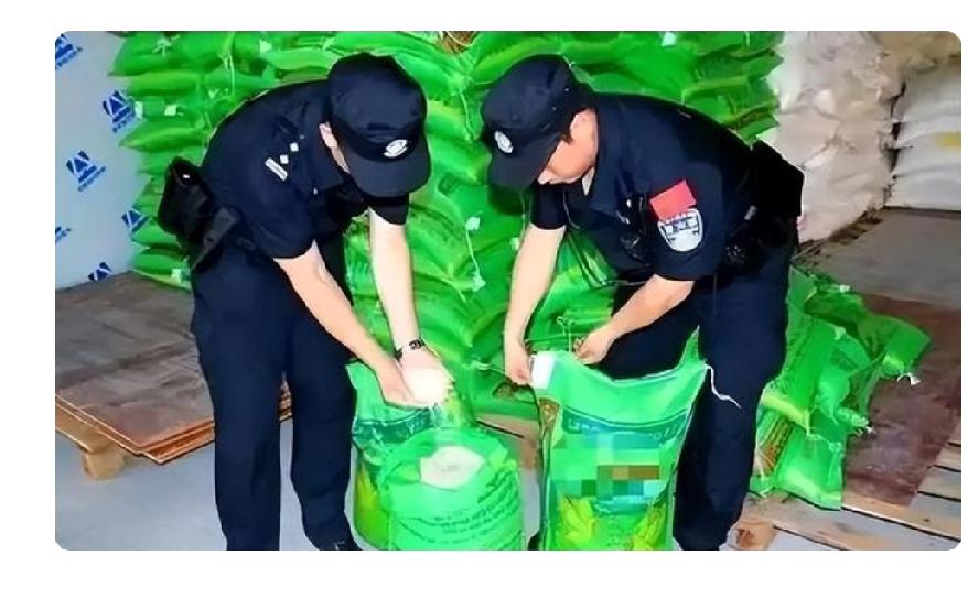 2026年1月，韩国破获建署30年来最大农产品走私案。12人伙同中国出口商，13