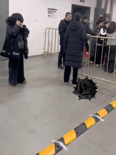 白鹿很冷吗？捂这么严实！什么样的女生能让人一眼心动？白鹿造型图片 白鹿明星写真 