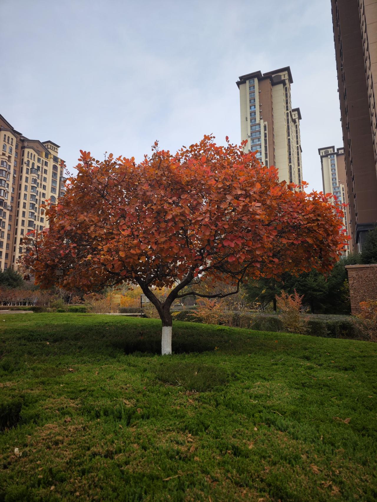 据媒体报道，4月11日，数艘美国战舰，在没有和伊朗打招呼的情况下，顺利通过霍尔木