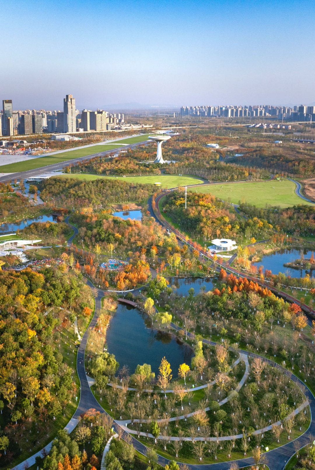 1977年的跑道，2026年的春晚舞台，骆岗完成了与时代的 “团圆”， 而那颗合