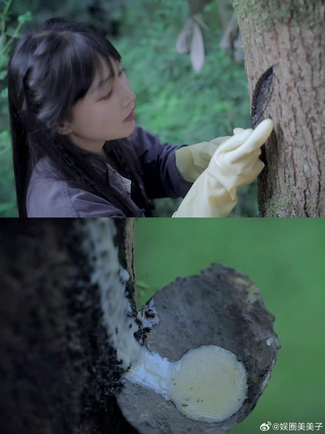#李子柒停更期间拜访了许多非遗传人#李子柒漆器真的美绝了，历时好几个月的漆器翻新