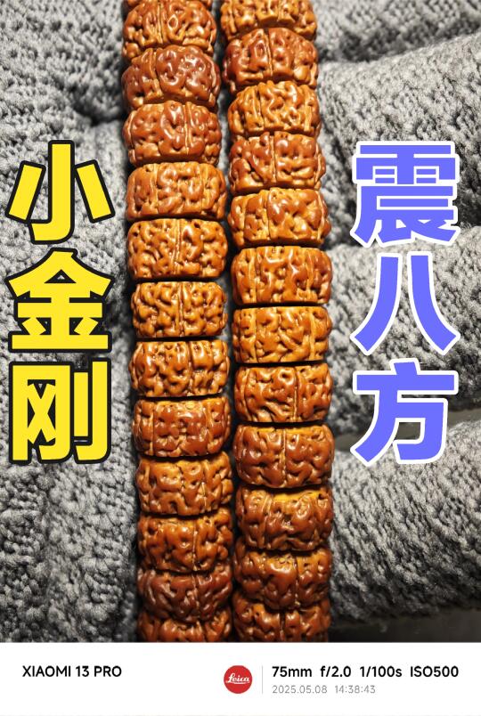 NO.732 老四家，小金刚，震八方