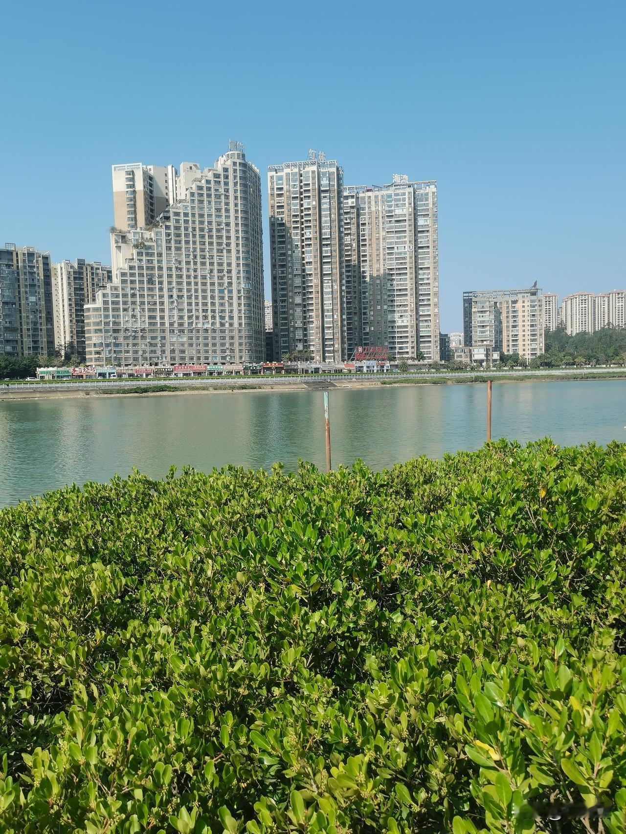 七律·枕万梦
一枕星河万梦沉，
千年兴废过吟襟。
秦宫月冷荒磷走，
汉苑风高断雁