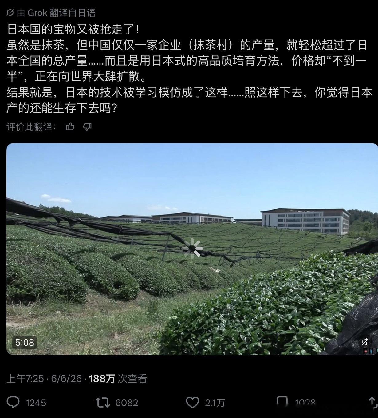 日本某些网民见中国抹茶产业火了，就嚷嚷“中国偷了日本国宝”。请问“抹茶”这俩汉字