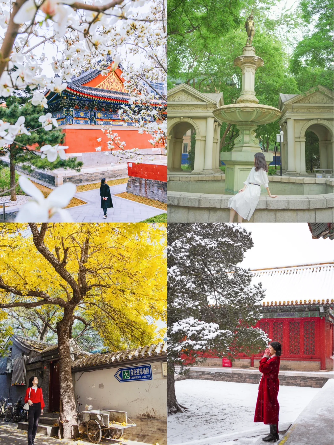 四季人生｜北京赠与我的春🍃夏☀️秋🍂冬❄️