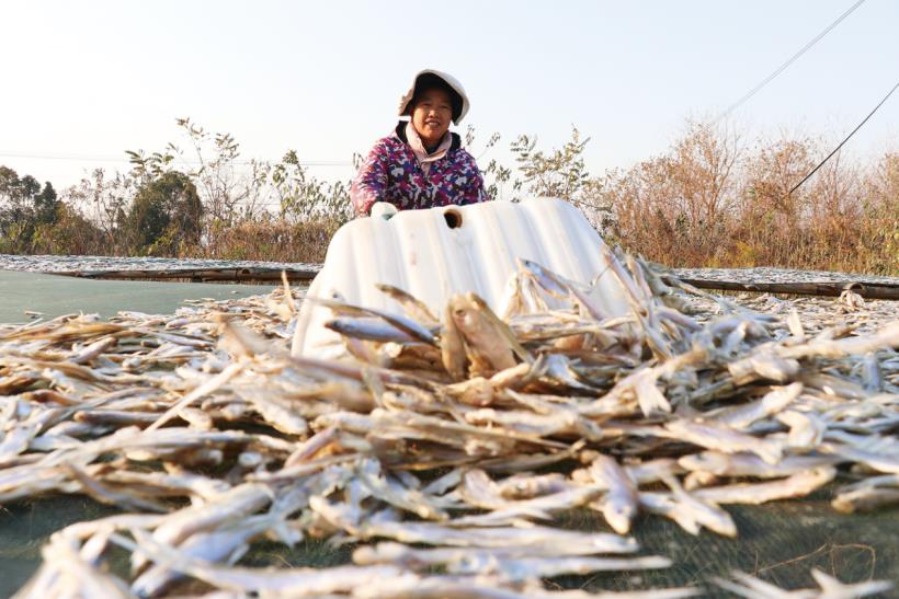 宣城市宣州区：湖光映渔忙 鲜味传四方